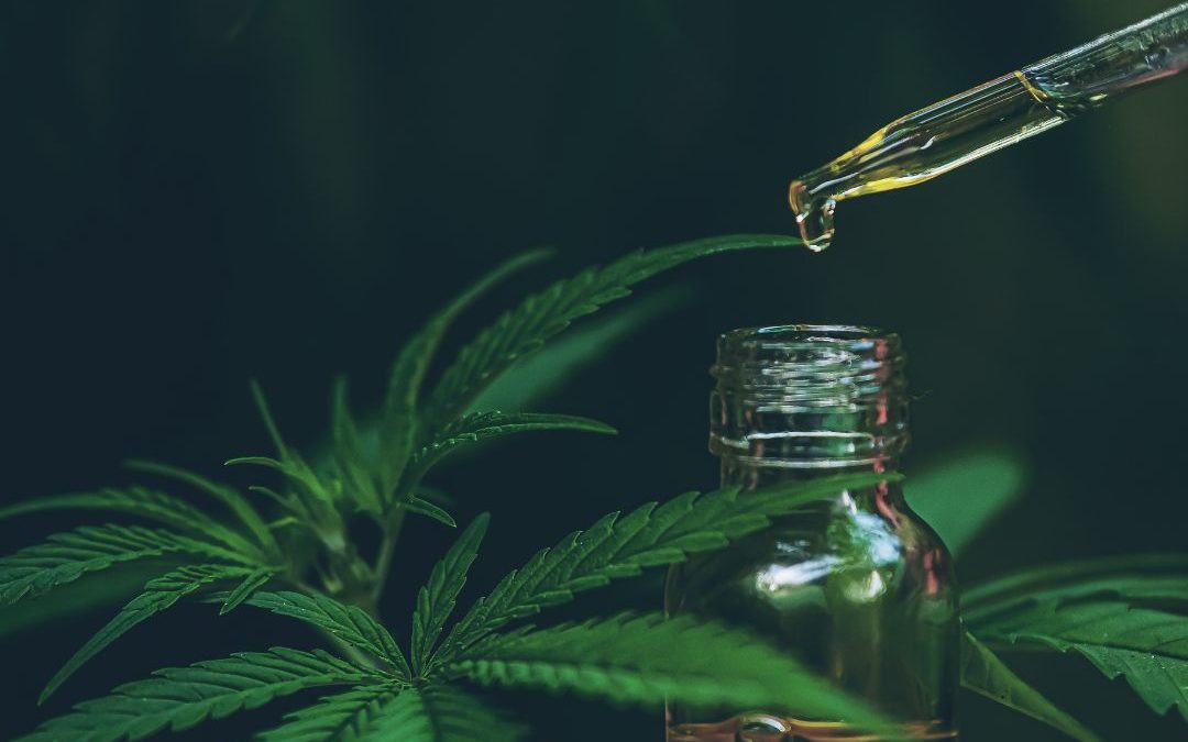 CBD qué se sabe sobre esta sustancia