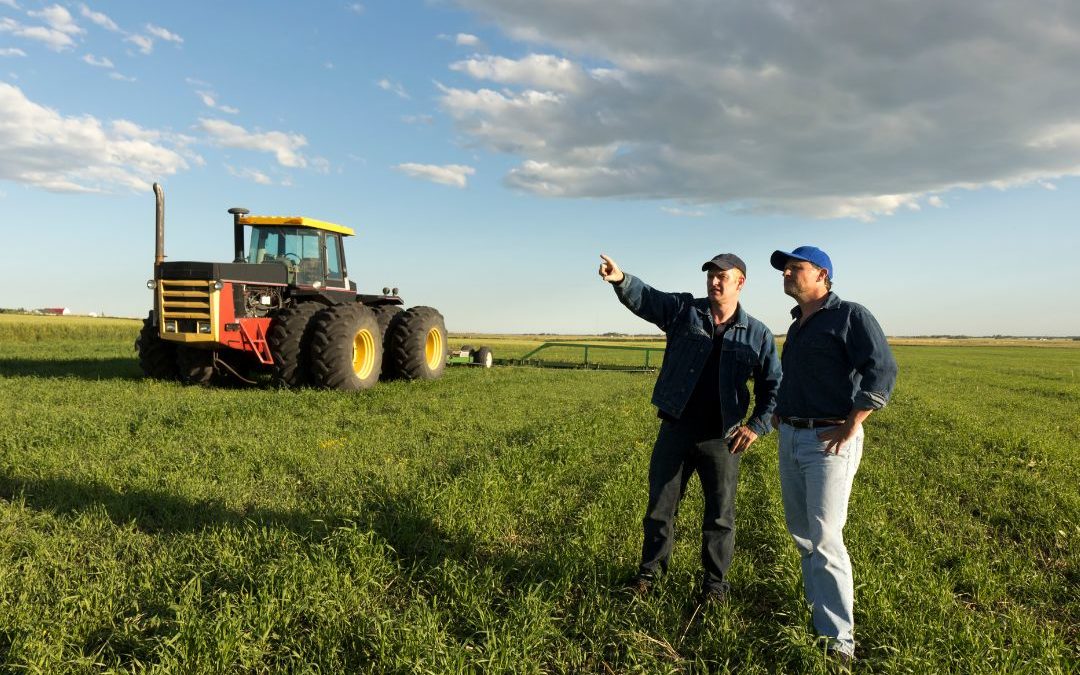 El asno y el granjero